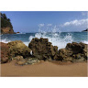 Meet your Posher, Danny